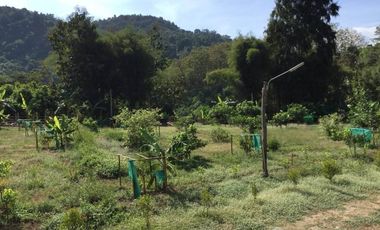 Hotel for sale in Pon, Nan