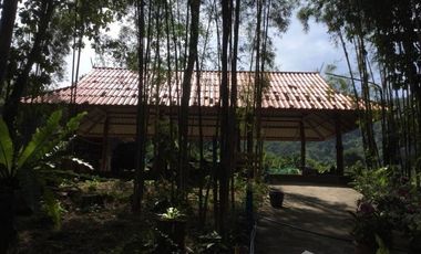 Hotel for sale in Pon, Nan