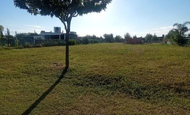 VENTA-LOTE-PUNTA CHACRA