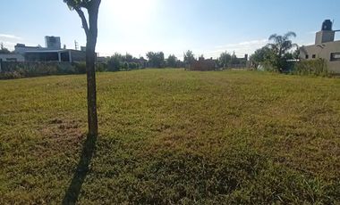 VENTA-LOTE-PUNTA CHACRA