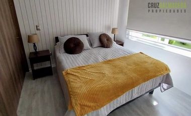 Departamento en Arriendo en Amoblado y remodelado en Plaza Decher