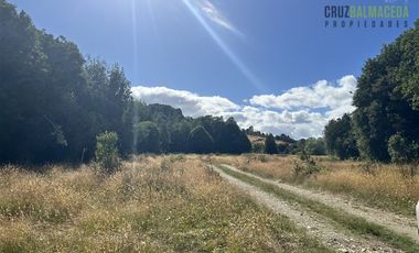 Agrícola en Venta en 9 hectareas a 20 minutos de Los Muermos, a 700 metros de la ruta V-522.