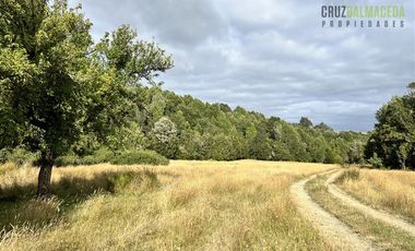 Agrícola en Venta en 9 hectareas a 20 minutos de Los Muermos, a 700 metros de la ruta V-522.