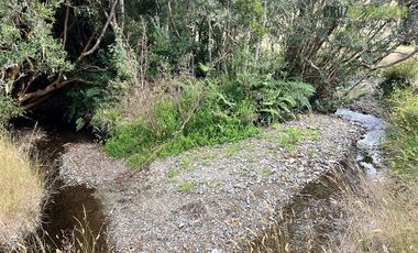 Agrícola en Venta en 9 hectareas a 20 minutos de Los Muermos, a 700 metros de la ruta V-522.