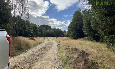 Agrícola en Venta en 9 hectareas a 20 minutos de Los Muermos, a 700 metros de la ruta V-522.