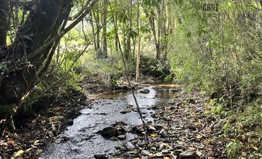 Agrícola en Venta en 9 hectareas a 20 minutos de Los Muermos, a 700 metros de la ruta V-522.