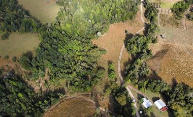 Agrícola en Venta en 9 hectareas a 20 minutos de Los Muermos, a 700 metros de la ruta V-522.