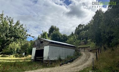 Agrícola en Venta en 9 hectareas a 20 minutos de Los Muermos, a 700 metros de la ruta V-522.