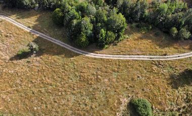 Agrícola en Venta en 9 hectareas a 20 minutos de Los Muermos, a 700 metros de la ruta V-522.