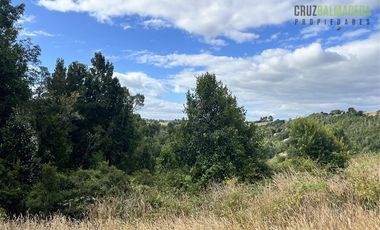 Agrícola en Venta en 9 hectareas a 20 minutos de Los Muermos, a 700 metros de la ruta V-522.