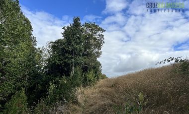 Agrícola en Venta en 9 hectareas a 20 minutos de Los Muermos, a 700 metros de la ruta V-522.