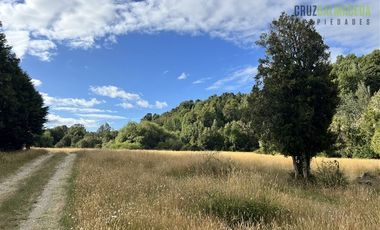 Agrícola en Venta en 9 hectareas a 20 minutos de Los Muermos, a 700 metros de la ruta V-522.