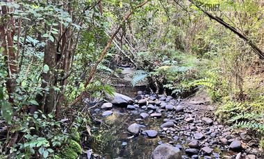 Agrícola en Venta en 9 hectareas a 20 minutos de Los Muermos, a 700 metros de la ruta V-522.