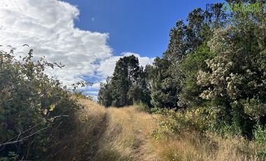 Agrícola en Venta en 9 hectareas a 20 minutos de Los Muermos, a 700 metros de la ruta V-522.