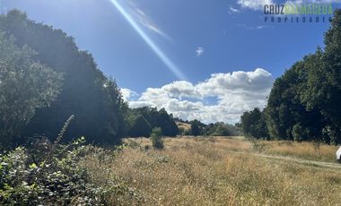 Agrícola en Venta en 9 hectareas a 20 minutos de Los Muermos, a 700 metros de la ruta V-522.