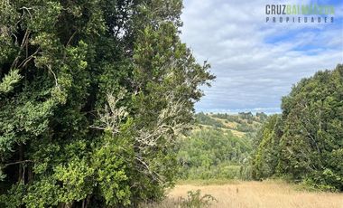 Agrícola en Venta en 9 hectareas a 20 minutos de Los Muermos, a 700 metros de la ruta V-522.