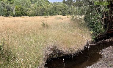 Agrícola en Venta en 9 hectareas a 20 minutos de Los Muermos, a 700 metros de la ruta V-522.