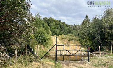 Agrícola en Venta en 9 hectareas a 20 minutos de Los Muermos, a 700 metros de la ruta V-522.