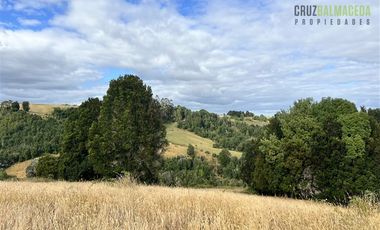 Agrícola en Venta en 9 hectareas a 20 minutos de Los Muermos, a 700 metros de la ruta V-522.