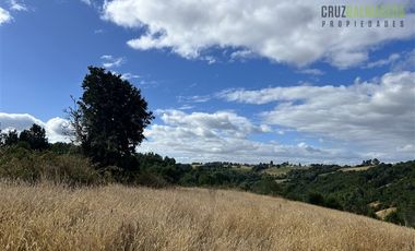 Agrícola en Venta en 9 hectareas a 20 minutos de Los Muermos, a 700 metros de la ruta V-522.