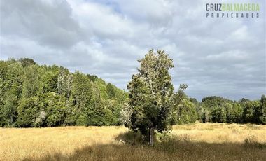 Agrícola en Venta en 9 hectareas a 20 minutos de Los Muermos, a 700 metros de la ruta V-522.