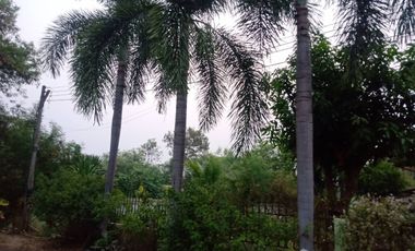 4 Bedroom House for sale at Jitareevill 2
