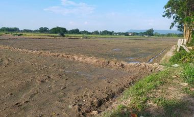 Land for sale in Muang Kham, Chiang Rai