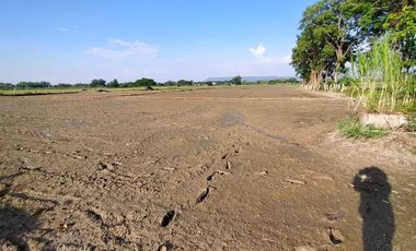 Land for sale in Muang Kham, Chiang Rai