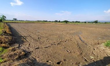 Land for sale in Muang Kham, Chiang Rai