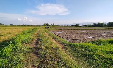 Land for sale in Muang Kham, Chiang Rai