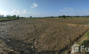 Land for sale in Muang Kham, Chiang Rai