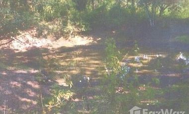 Land for sale in Mueang Phan, Chiang Rai