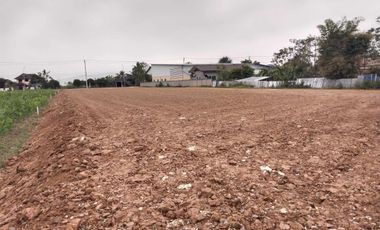 Land for sale in Mae Kham, Chiang Rai