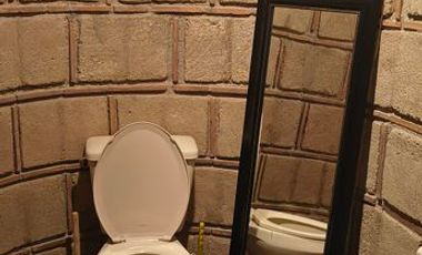 Descubre la Sombra del Frisón Tu espacio de Paz y Naturaleza