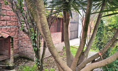 Descubre la Sombra del Frisón Tu espacio de Paz y Naturaleza