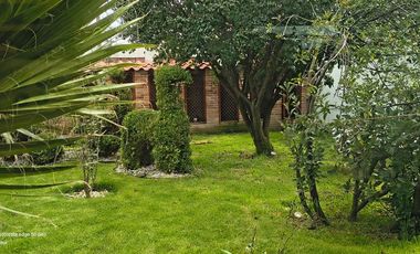 Descubre la Sombra del Frisón Tu espacio de Paz y Naturaleza