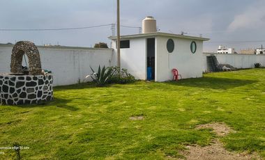 Descubre la Sombra del Frisón Tu espacio de Paz y Naturaleza