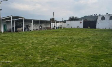 Descubre la Sombra del Frisón Tu espacio de Paz y Naturaleza