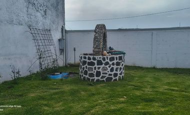 Descubre la Sombra del Frisón Tu espacio de Paz y Naturaleza