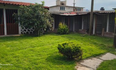 Descubre la Sombra del Frisón Tu espacio de Paz y Naturaleza