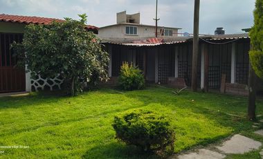 Descubre la Sombra del Frisón Tu espacio de Paz y Naturaleza