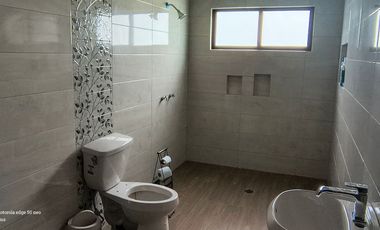 Descubre la Sombra del Frisón Tu espacio de Paz y Naturaleza