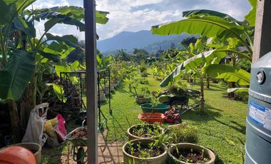 Land for sale in , Chiang Rai