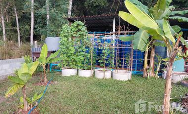 Land for sale in , Chiang Rai