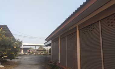 Land for sale in Pa Sang, Chiang Rai