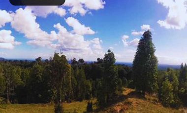 Parcela en venta en PUERTO VARAS