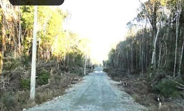 Parcela en venta en PUERTO VARAS