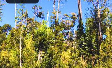 Parcela en venta en PUERTO VARAS