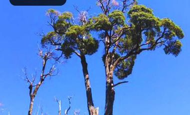 Parcela en venta en PUERTO VARAS