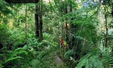 Parcela en venta en PUERTO VARAS